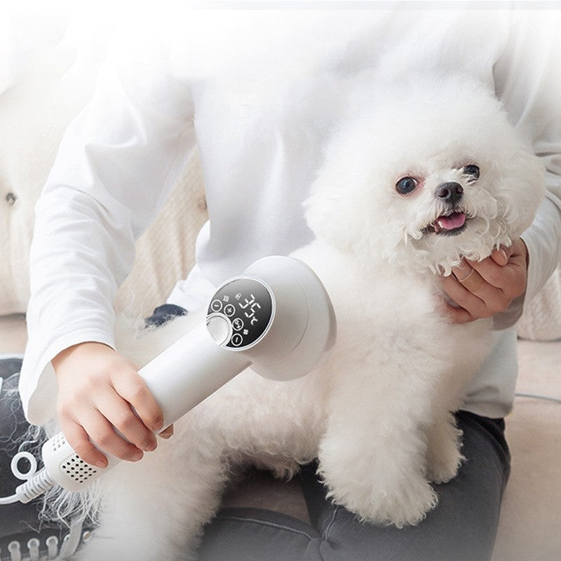 Person using a white hair dryer on a small white dog