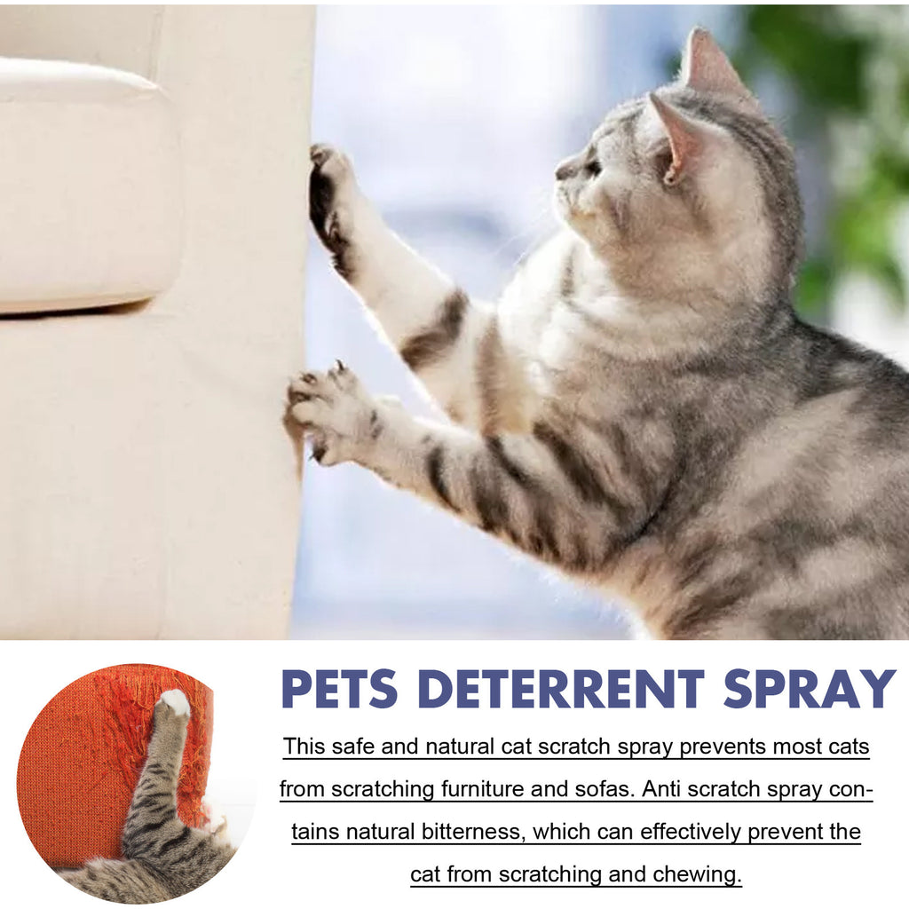 Cat looking up at a wall with text about pets deterrent spray.