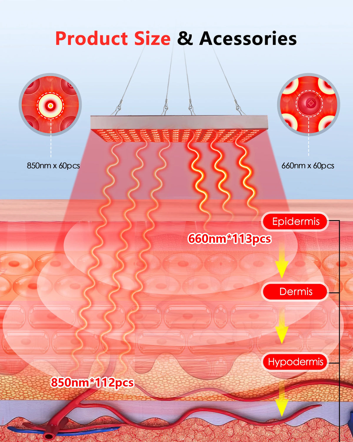 Illustration of skin layers with labeled product sizes and accessories.