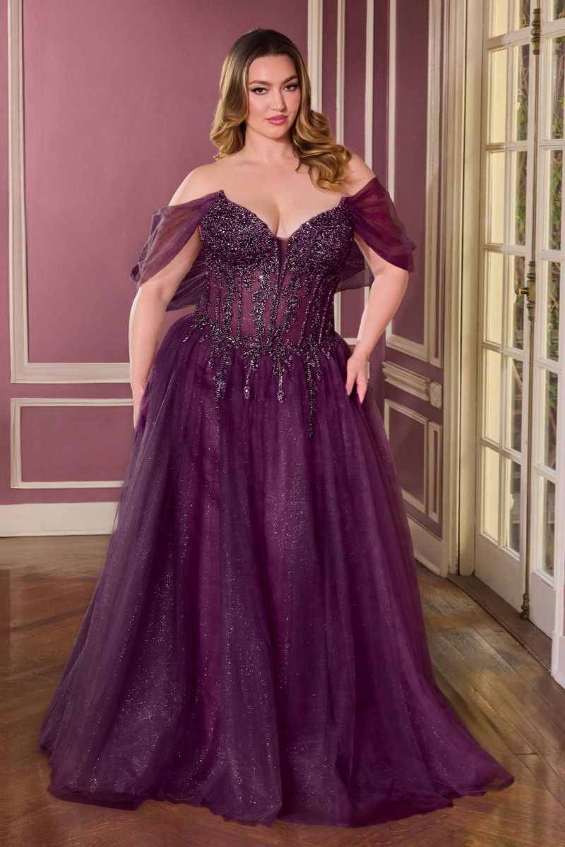 Elegant Beaded Corset A-Line Prom Dress Glitter Tulle Evening Gown CDCD721C