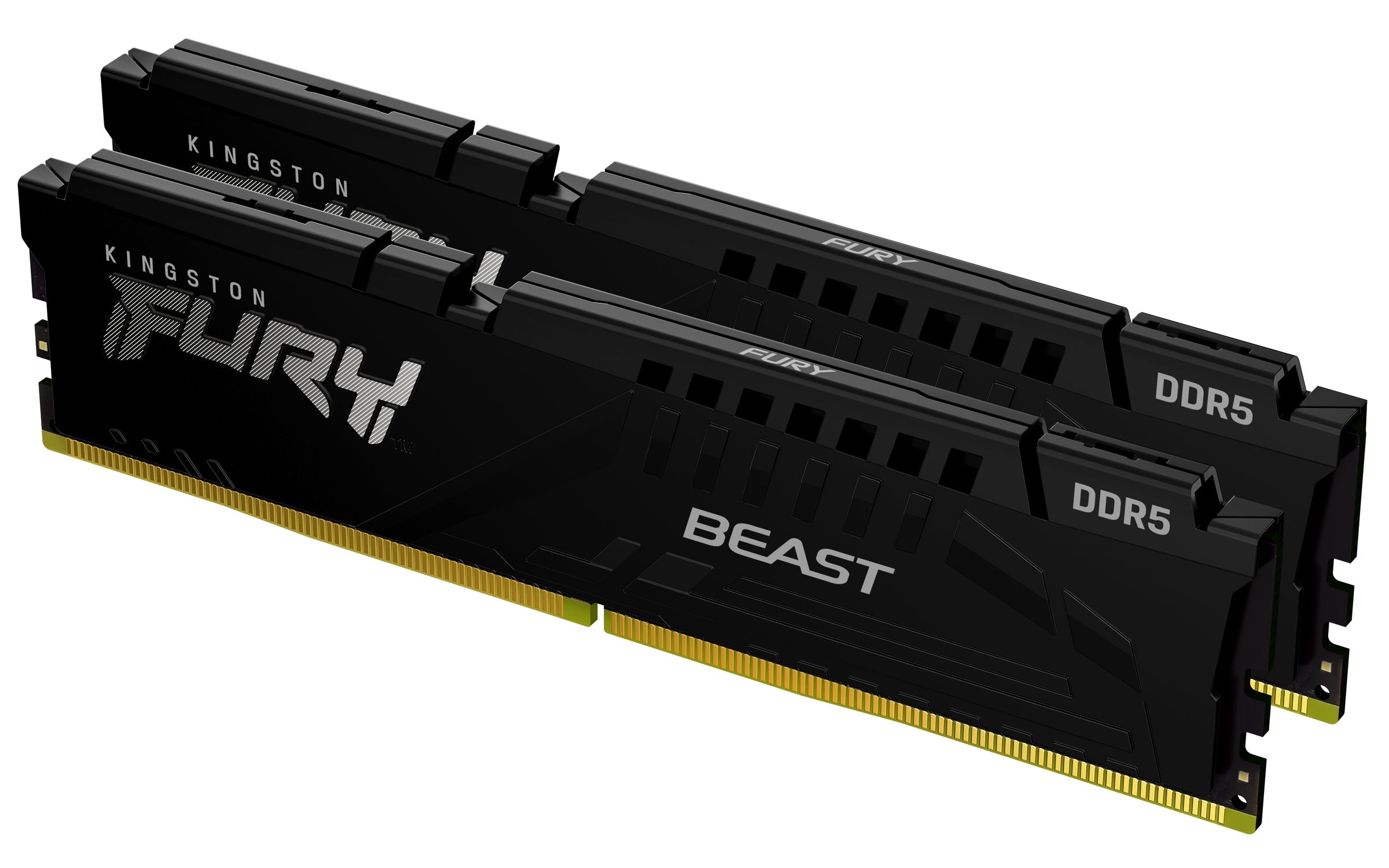 Kingston Technology FURY Beast 64GB 6000MT/s DDR5 CL30 DIMM (Kit of 2) Black EXPO-0