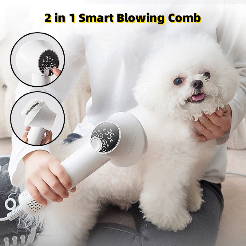 Person using a 2-in-1 smart blowing comb on a small white dog.