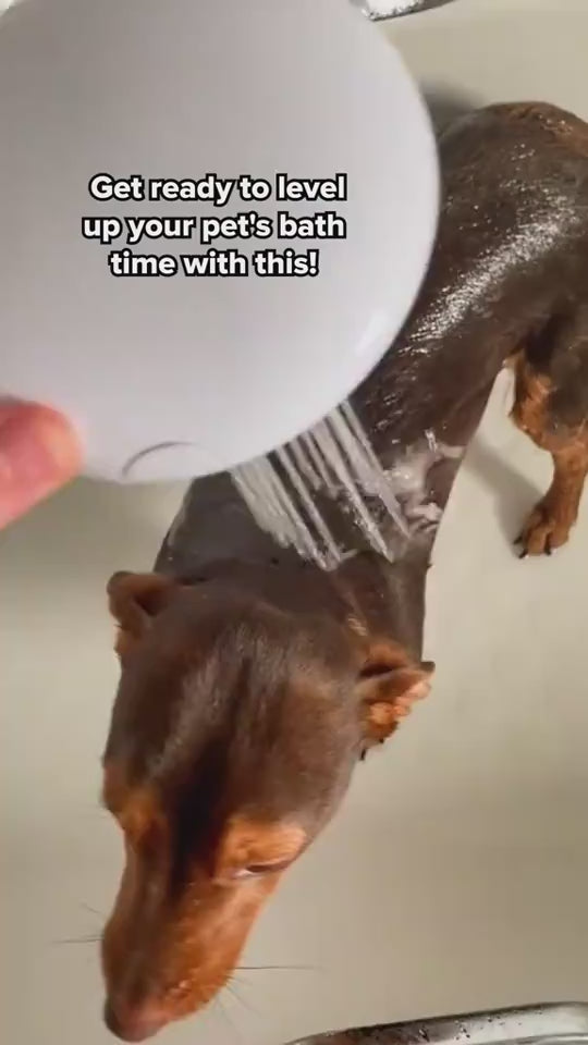 demo-bath-brush-dog.mp4