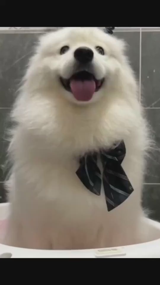 demo-bath-brush-pet.mp4