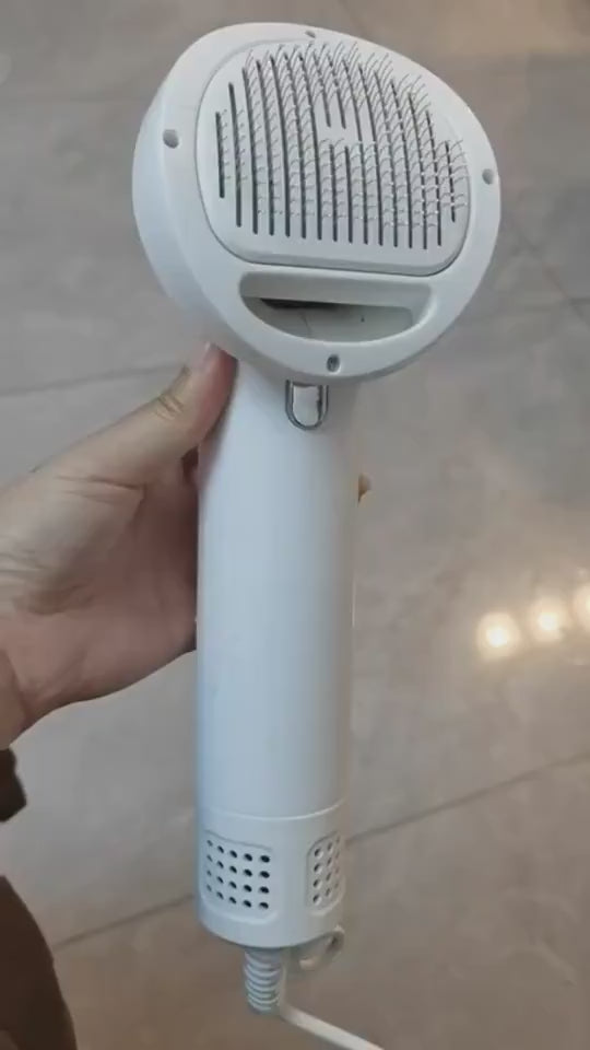 hair-pet-dryer.mp4